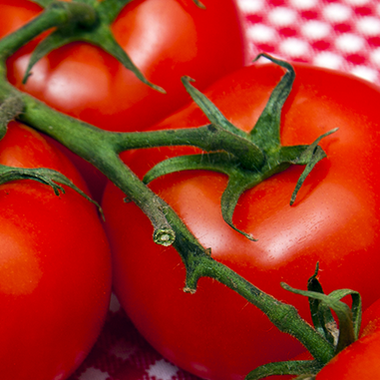 Tomaten