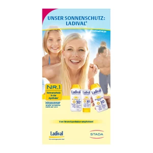brochure-14004