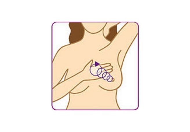 Brust abtasten - 4. Schritt Brust abtasten - 4. Schritt
