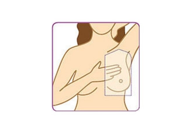 Brust abtasten - 2. Schritt Brust abtasten - 2. Schritt